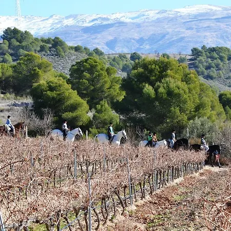 & Winery Senorio De Nevada Hotel Villamena