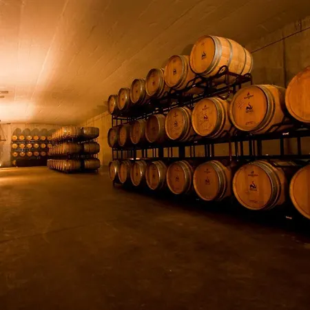 & Winery Senorio De Nevada Hotel 4*