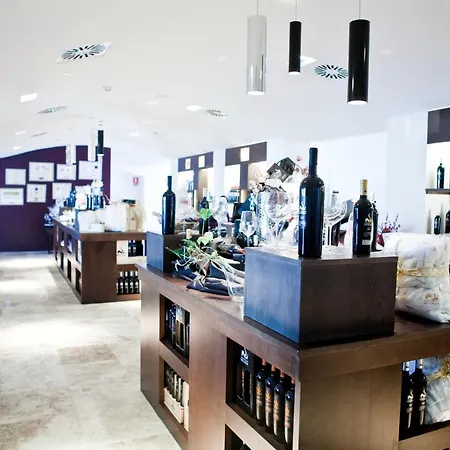 Hotel & Winery Senorio De Nevada 4*