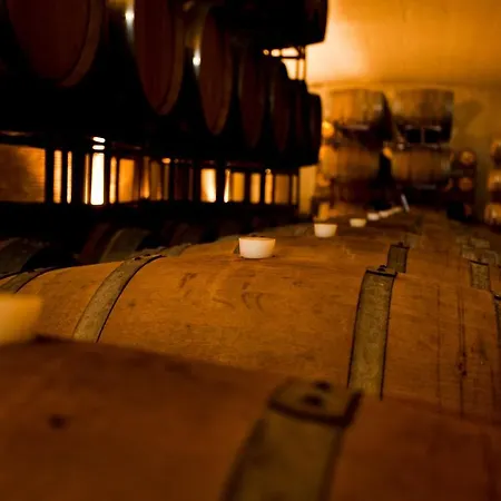 & Winery Senorio De Nevada Villamena
