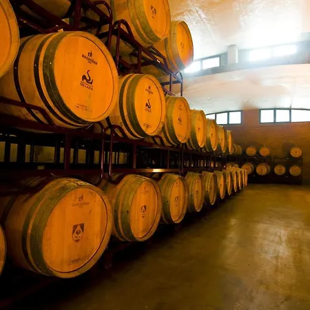 Hotel & Winery Senorio De Nevada